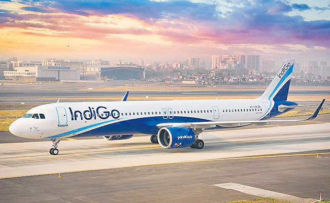 INDIGO.jpg
