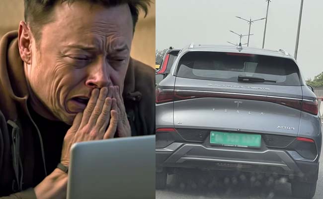 tesla-cross-breed.jpg