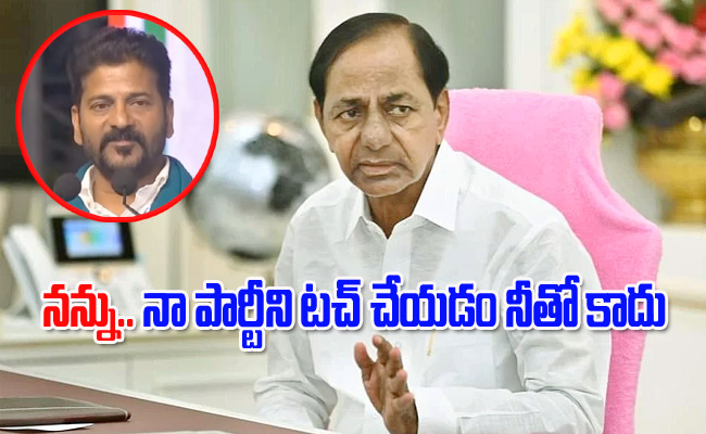 kcr3.jpg