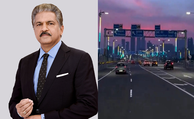 anand-mahindra.jpg