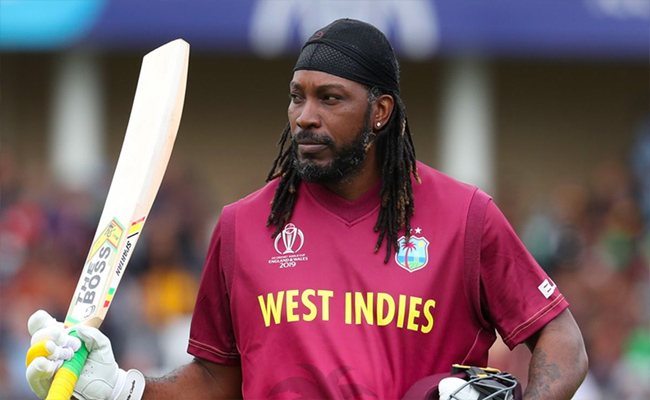 gayle.jpg