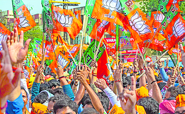 BJP_20FLAGS_203.jpg