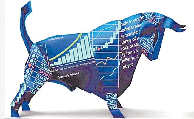 BULL1.jpg