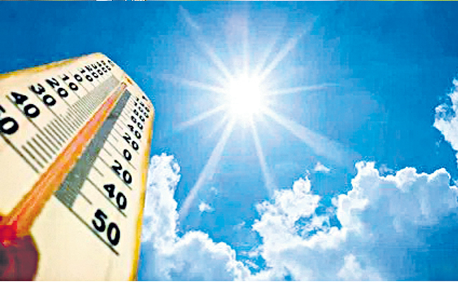 summer.jpg