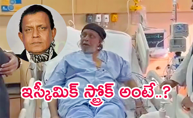 Bollywood-Actor-Mithun-Chakraborty.jpg