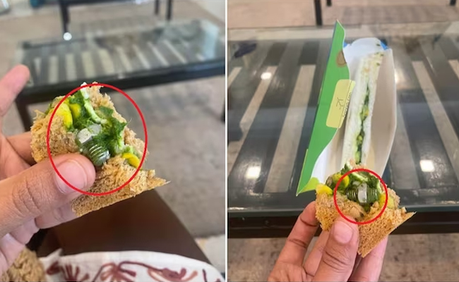 sandwitch.jpg