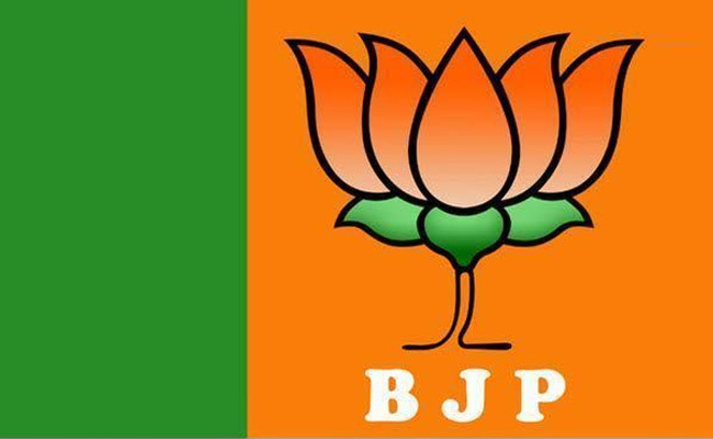 bjpflag1.jpg