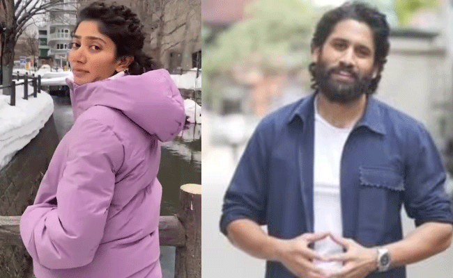 naga-chaitanya_0.gif