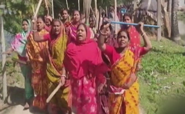 bengal.jpg