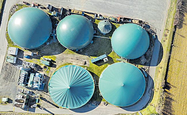 green_20energy.jpg