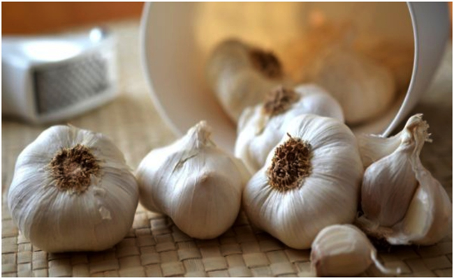 Garlic.jpg