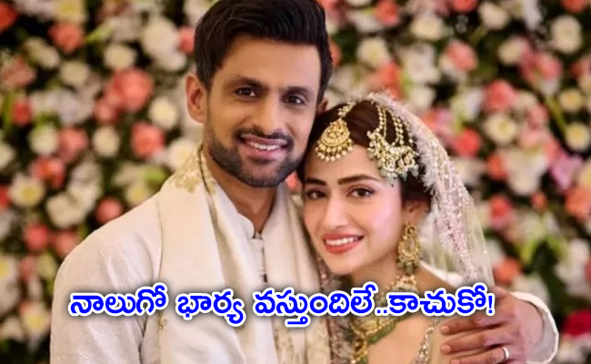 Shoaib-Malik.jpg