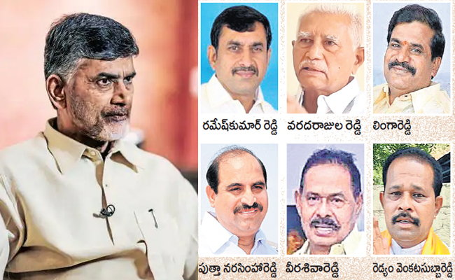 TDP-1.jpg