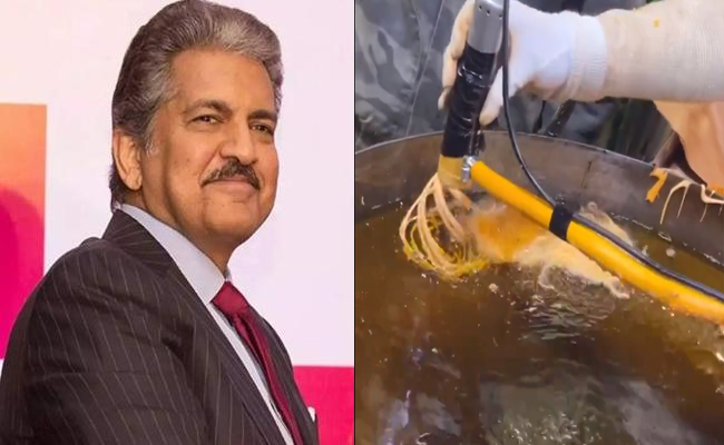 anand-mahindra.jpg
