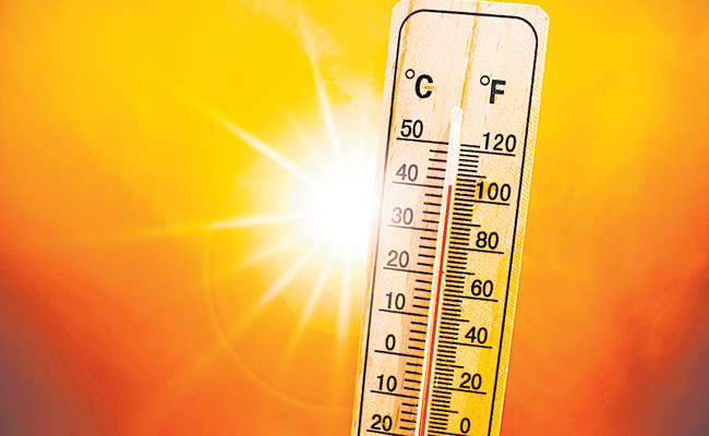 temp.jpg