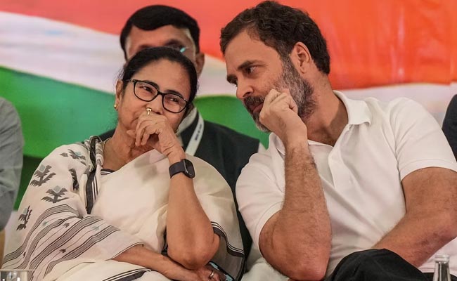 mamata.jpg