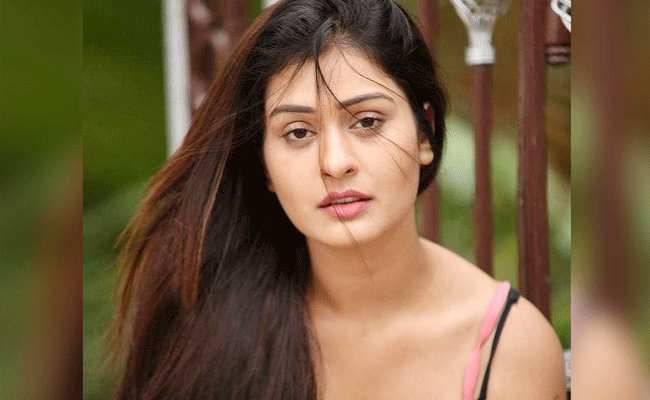 payal1.gif