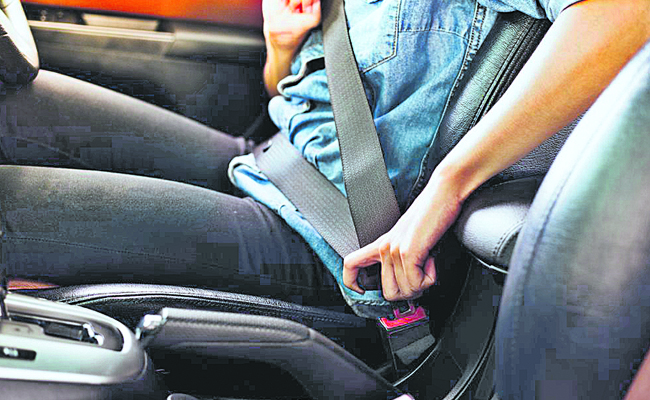 SEATBELT_203.jpg