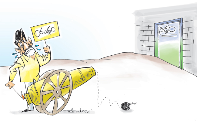 EDIT-PAGE-CART24--2-24-2.jpg