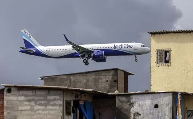 indigo.jpg