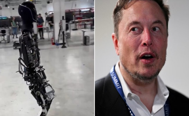 musk.jpg