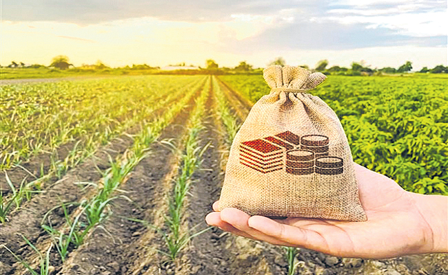 FARM-LOANS.jpg