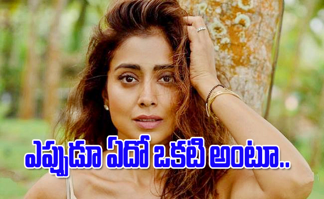 Actress-Shriya-Saran.jpg