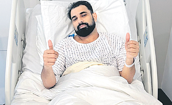 shami.jpg