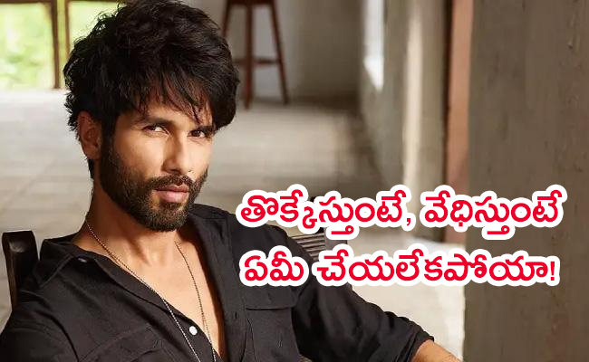 Shahid-Kapoor-Sensational-Comments.jpg