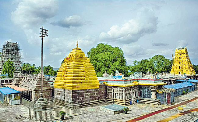 templew.jpg