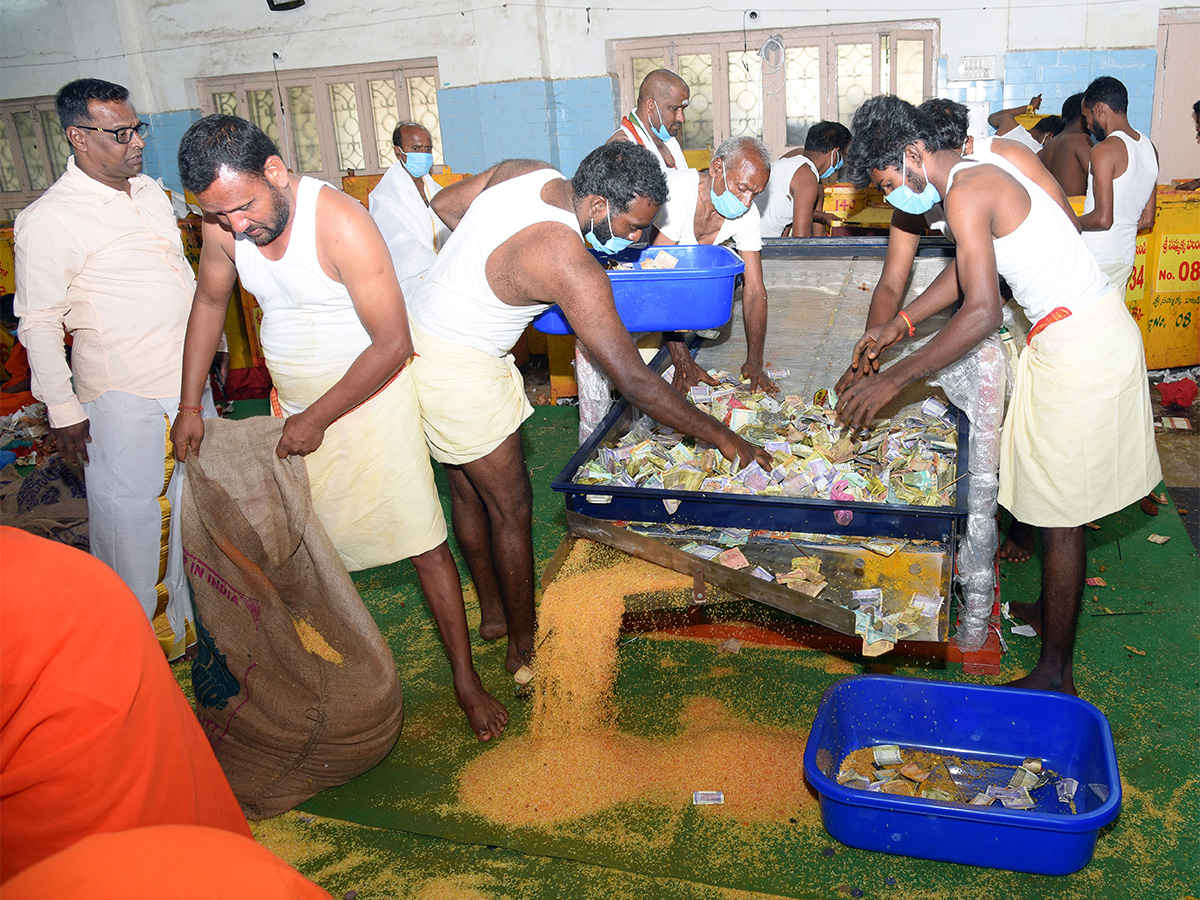 Sammakka_20Saralamma_20Medaram_20Jatara_20Hundi_20Counting-13.jpg 13