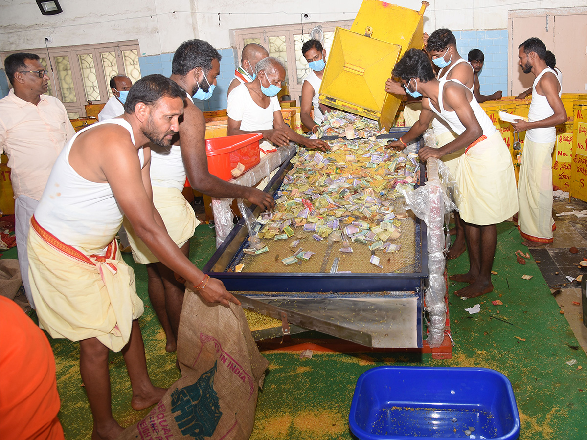 Sammakka_20Saralamma_20Medaram_20Jatara_20Hundi_20Counting-8.jpg 8
