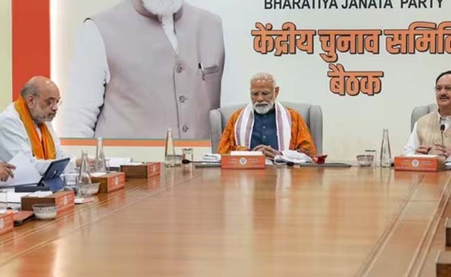 bjp_20loksabha.jpg