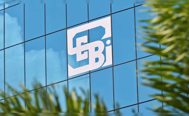 sebi.jpg