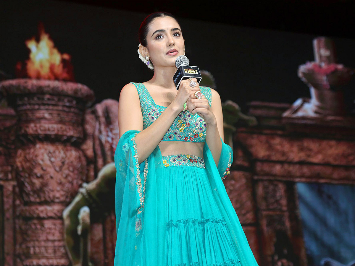 BHIMAA_20Pre_20Release_20Event_20Pics-2.jpg 2