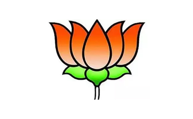 bjp_0.jpg