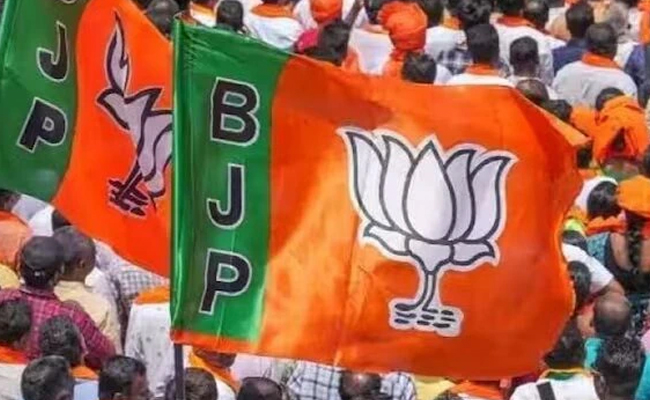 bjp_1.jpg