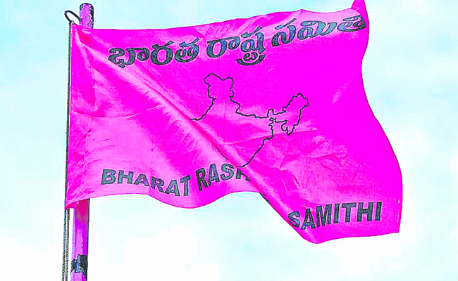 BRS_20FLAG_202.jpg