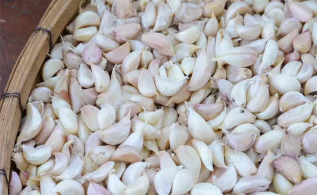 Garlic.jpg