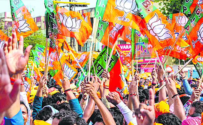 BJP_20FLAGS_202.jpg