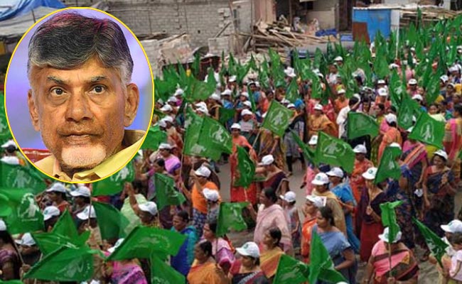 tdp_0.jpg