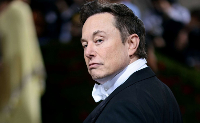 musk01.jpg