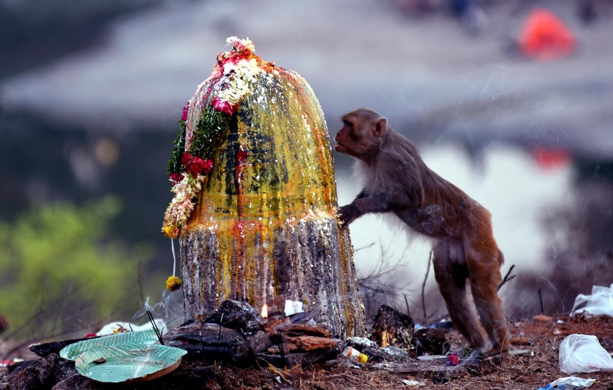 20.jpg 20
