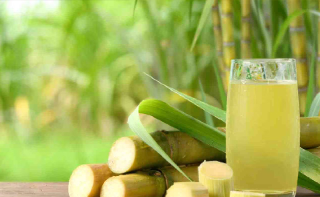 sugarcane.jpg
