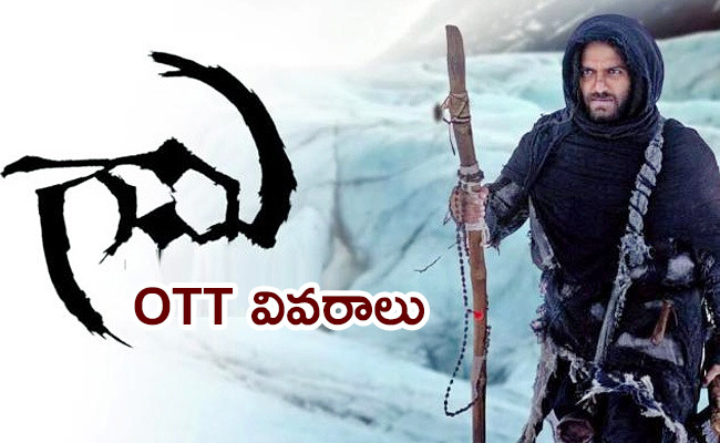 Gaami-Movie-Ott.jpg