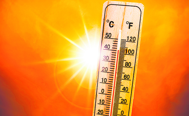 TEMPERATURE_2014.jpg