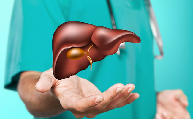 liver.jpg