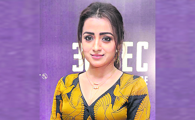 trisha_203.jpg