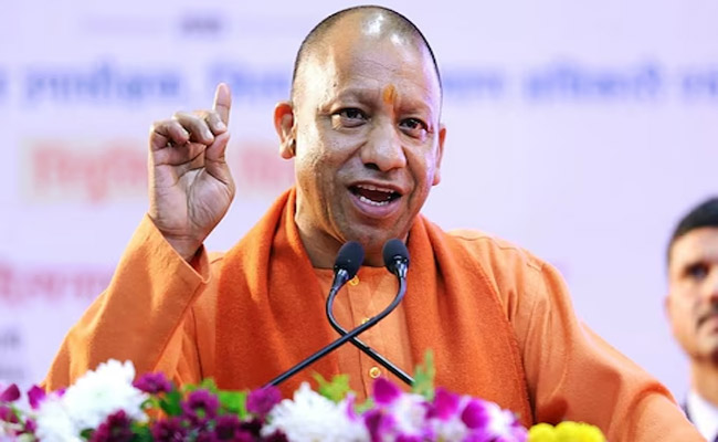 yogi.jpg