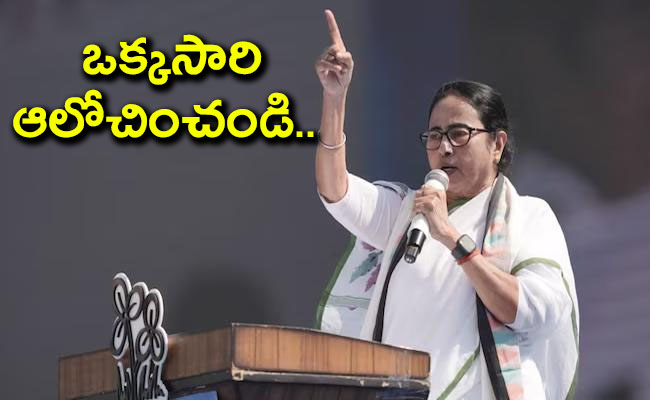 mamata-01.jpg